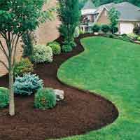 Mulching
