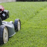 Grass Cutting